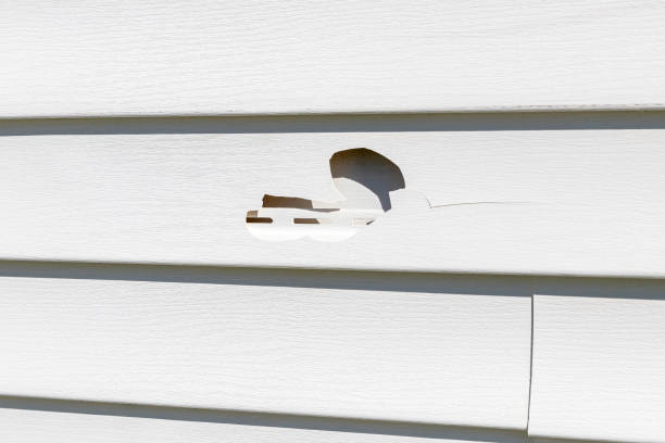 Best Property Management Cleanouts  in Westmere, NY