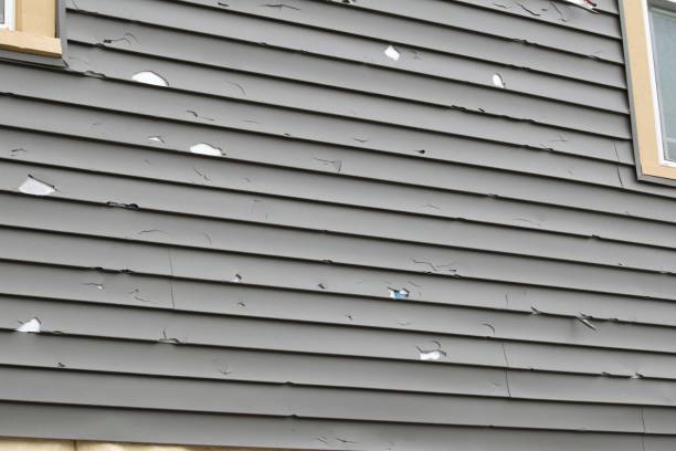 Best Hoarding Cleanup  in Westmere, NY